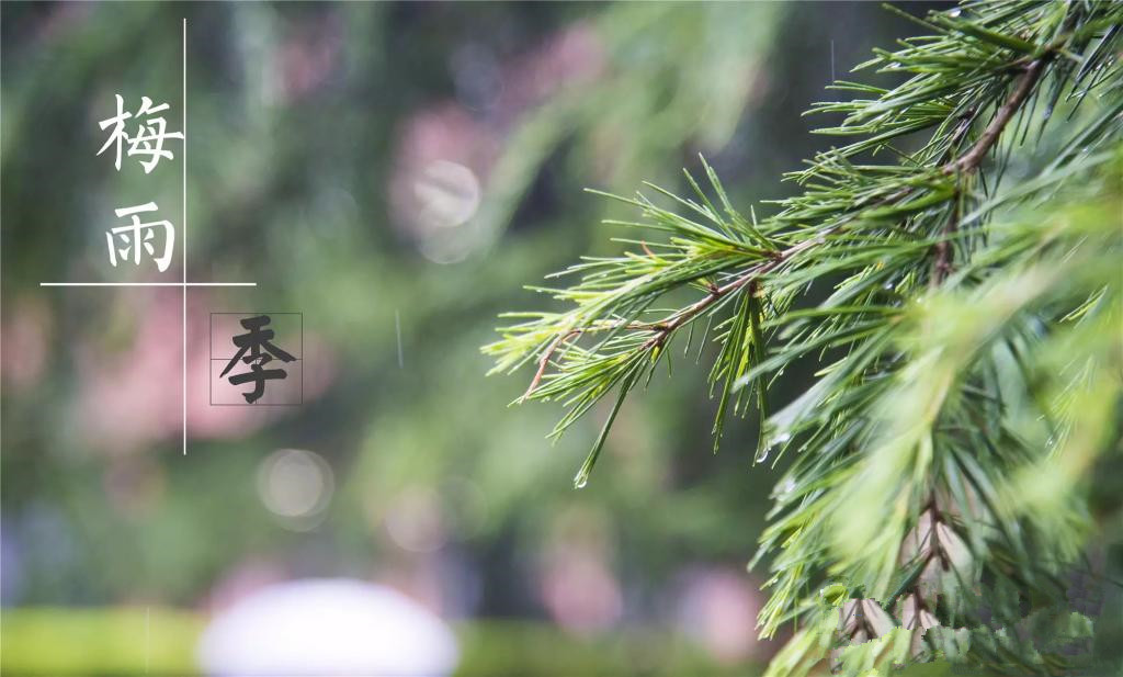 雨季到來，涂料施工需注意哪些問題